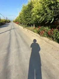 夜色難免黑涼
前行必有曙光
請給自己一點時間吧
讓??成?? 讓??成??配圖