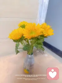 新的一天，像向日葵一樣，
朝著熱愛，野蠻生長??

早安呀～ ??配圖