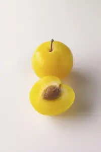 善于发现生活中的小美好
今天被小弟的一个李子治愈了
看着他笑盈盈的朝我走来
就是为了给我一个李子，哈哈
心情瞬间美好
快乐了一小天