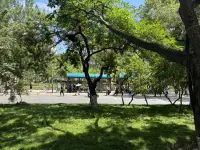 活过了三十岁才慢慢懂得
很多事不能急
要学会耐心等待
生活总会让最好的自己遇到最好的人和事