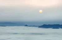 心若向阳，无畏悲伤；心怀希望，前路自明。