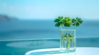 任何关系，走到最后，不过是相识一场，角度不同，没有对错，勿在别人心中修行自己，勿在自己心中强求他人。学会控制情绪，一半为了尊重别人，一半为了保护自己。