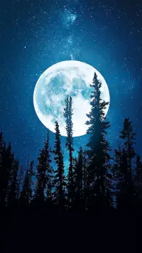 要习惯任何人的忽冷忽热，也要看淡任何人的渐行渐远，没有多少人心疼你，好好爱自己，别为难自己，很多事，尽力了就足矣。