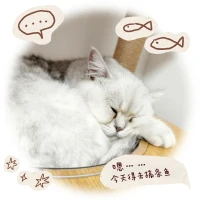 -拿著逗貓棒逗它，結(jié)果它假裝睡覺，等我放下的瞬間突然撲過來，這小機(jī)靈鬼，還會聲東擊西呢配圖
