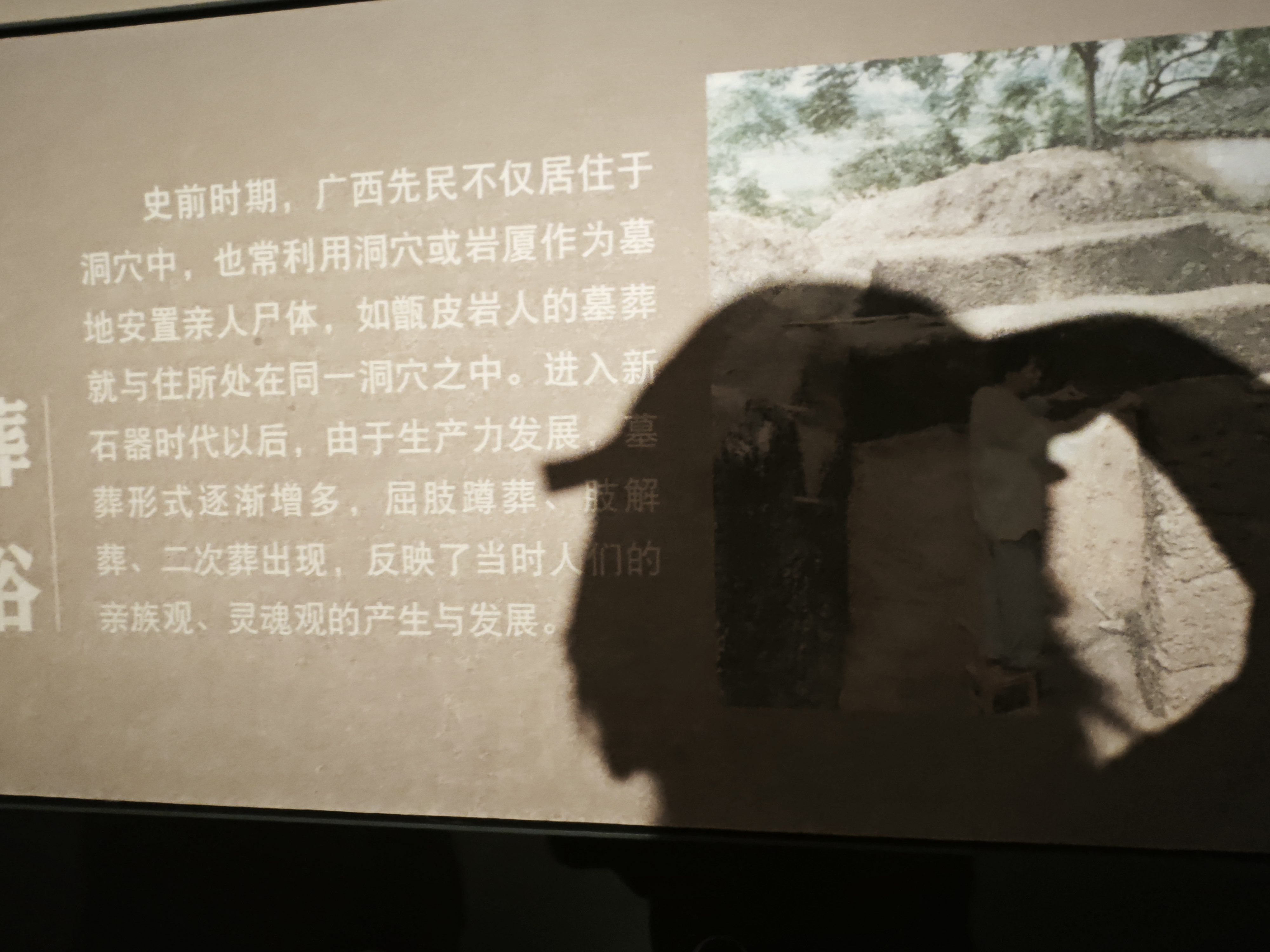 劉春東的回答圖片