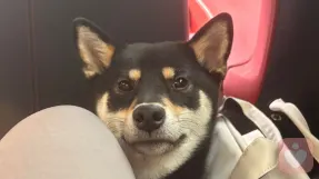 洛一