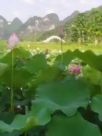 要一而再，再而三，三而不竭，千万次救自己于水火之中！