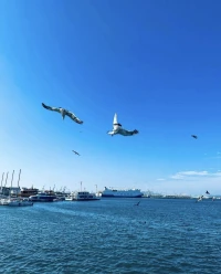 你總在解決問題，卻從沒看清問題本身。
那些年復一年的目標落空，
一次次重蹈覆轍的關系模式，
背后都是同一個原因：
你對自己正在做什么毫無覺察。
有自我認知的改變都是假動作，
你總說我很努力，
但真正的成長從承認“我連問題在哪都不知道”開始。
先用健康的身體和內心的平靜，
打好人生的地基，
再去追求那份能讓你真正自由的財富，
否則一切努力都只是在裝飾一座危房。
世人都以為是發生事情，
然后產生情緒，再有心理感受。
其實反了，是內在的能量產生了震蕩，
然后吸引事情，
反映到五臟六腑，產生了情緒，
是你的本質吸引來了對應的事情。
你是什么樣的信念，
就出現什么樣的事態，顯現什么樣的果。配圖