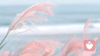 女人活得通透的止损清单：及时掉头，才是终身浪漫的开始