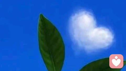 3个“反套路”细节，看穿夫妻间是真爱还是搭伙