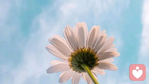 坚持这3个习惯，3个月就够了，人生真的会开挂