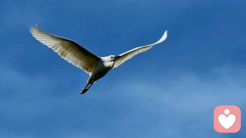 遇到讨厌的人别硬刚！3个体面反击技巧，不委屈、不内耗