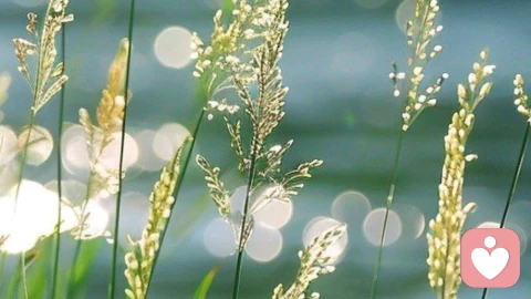 男人偷偷喜欢你的6个隐藏信号，别再傻傻错过