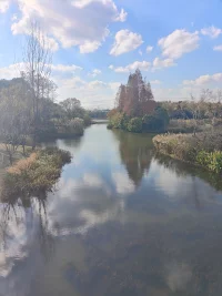 问题、事情、麻烦，烦心，有时会源源不断的出现，直到你答出不同的答案，会学习正视问题，才能改变当下