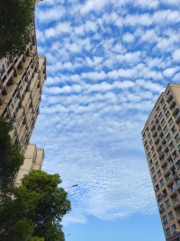 八月你好