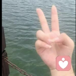 蛋撻的頭像