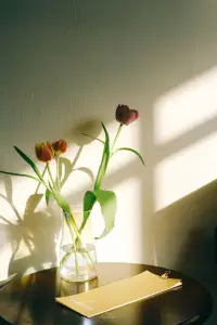 一個人的精神世界，是這個世界上最神秘的世界，也是對于自己來說最有價值的世界，也是唯一專屬于自己的世界。

當這個世界沒有一絲一毫向外的表達的時候，沒有需要別人來認同，需要別人來理解的時候，這些神秘性、價值性和專屬性才開始向自己逐漸得以呈現。

干凈、純粹、專注、心無旁騖，是產生這個神秘世界和價值世界的前提條件。

如果這個世界輕易就會被別人所影響和控制，哪還有什么神秘可言，哪還有任何的價值可言，哪還有什么自己的精神世界可言。

活著，就得去給自己創造出這個精神世界，維護好這個只屬于自己的精神世界。配圖