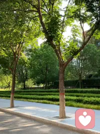 记得，做一个勇敢的人。

允许一切的发生，允许自己失败，也允许人生中的不完美，更允许有的人忽然离开。真正的强大不是忘记，而是接受，接受人生中的遗憾，接受人生的孤独，也接受那个不完美的自己、然后再向前走别回头。

要学会和一些人一些事说再见，很多事情一直拖着只会不断消耗自己，让人身心疲惫情绪烦躁；要学会果断一点，接受世界存在的不完美，包括我们自己。

这次做不成的事，那就下次再努力，允许偶尔失败，接受世事无常，聚散离合。勇敢说出再见，迎来新的开始，希望我们都可以爱自己，然后，
做一个勇敢的人。配图