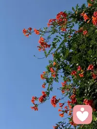 “人生是不斷與理想的自己進行比較，
而不是活在他人的評價之下，
我們不是為了滿足別人的期待而活著，
而是為了自己，活出自己的人生。
縱使被說壞話，被討厭，也沒有什么好在意的，
因為對方如何看待你，
那是屬于對方的生命課題。” ???