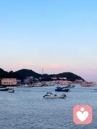 人生從不是直線，是曲曲折折里，你學會了與每一個拐彎和解。 ???