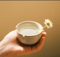 萬物皆不完美，人生總有缺憾。喜歡就爭取，得到就珍惜，失去就忘記。別給情緒加濾鏡，健康快樂既頂配。敬歲月，敬自由，敬千萬次縫補生活的自己。配圖