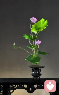 人生在世短短幾十年，也可以自我一點，只要在不傷害別人的情況下，可以及時行樂，善侍自己行心中所想。配圖