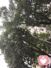 世人都需要情感的滋潤，被人的關注和理解，更希望有無盡的疼愛與關懷，知冷知熱知人心，人人喝望！配圖