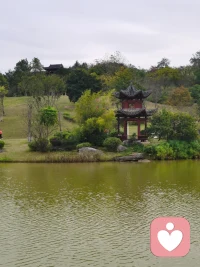 情緒也需要環境的儒養，景美心情也美，愉悅可以感染傳遞配圖