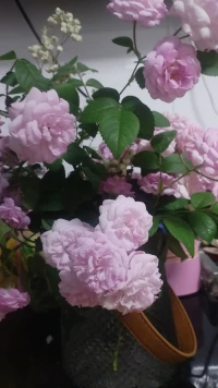 不要杞人忧天，烦恼并不会减少明天的负担，却会失去今天的快乐。
