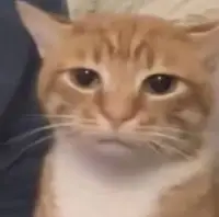 111