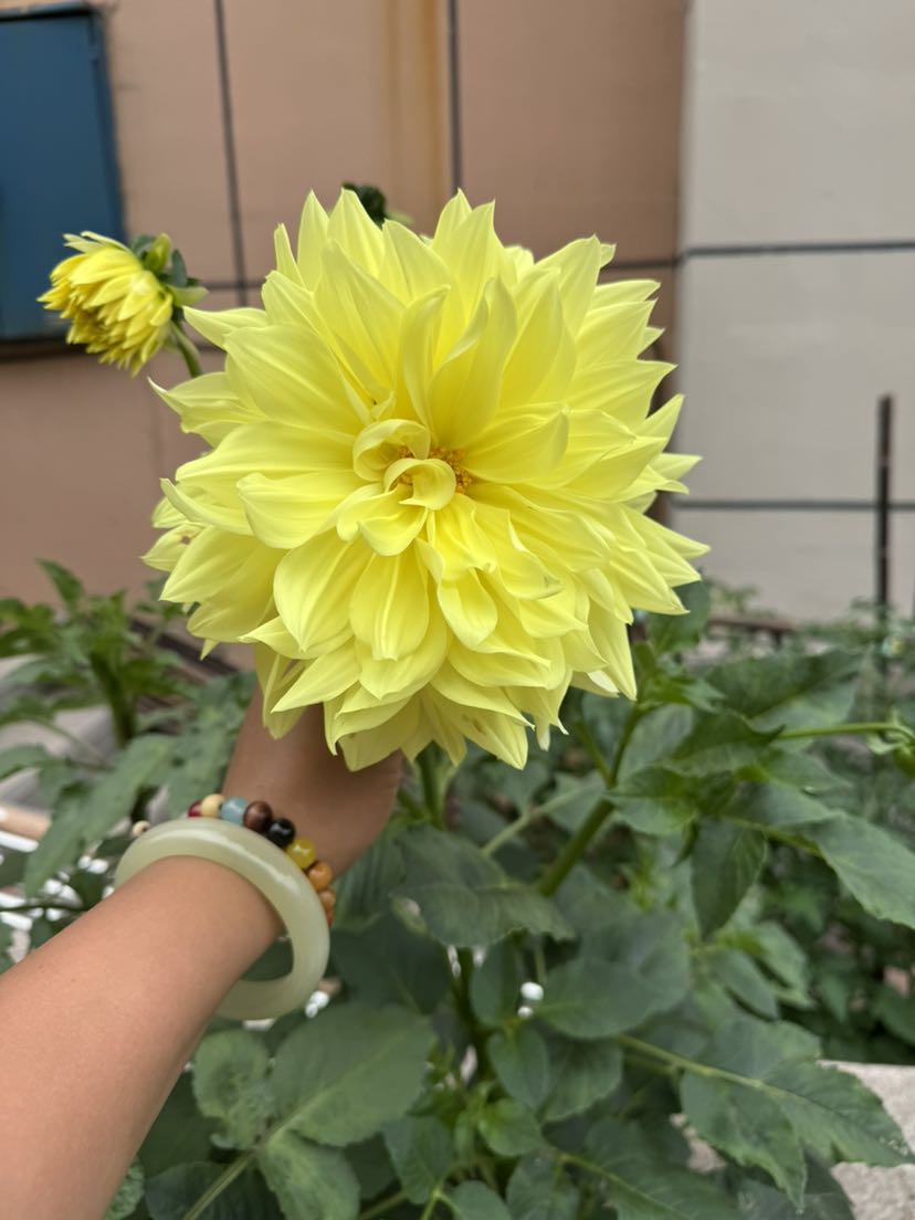 孫志輝的回答圖片