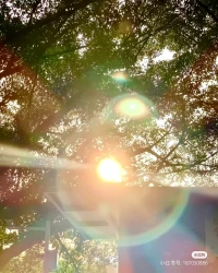 上帝关了一扇门，一定会打开一扇窗，每个人都会找到自己的曙光！！所以加油！❤️