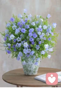 能治愈你的从来不是时间，

而是释怀，心宽了，

路自然就宽了。配图