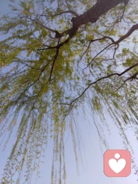 生活是自己的，可以抱怨，可以沉淀，但最终要学会自我疗愈。配图