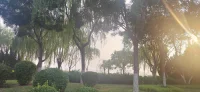 最远的距离，不是山海，而是两颗不再靠近的心。
    
    我们穿梭于人海，却常常感到孤独。点亮屏幕，刷不完的热闹；放下手机，说不出的寂寥。真正的连接，始于一次真诚的问候，一个专注的眼神，一次放下防备的倾听。别让忙碌成为隔阂的借口，别让沉默浇灭靠近的热情。今天，主动伸出手，或打开心门。因为，每一次真诚的相遇，都是生命馈赠的星光。