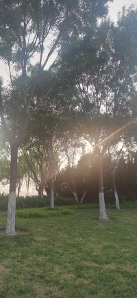 最远的距离，不是山海，而是两颗不再靠近的心。
    
    我们穿梭于人海，却常常感到孤独。点亮屏幕，刷不完的热闹；放下手机，说不出的寂寥。真正的连接，始于一次真诚的问候，一个专注的眼神，一次放下防备的倾听。别让忙碌成为隔阂的借口，别让沉默浇灭靠近的热情。今天，主动伸出手，或打开心门。因为，每一次真诚的相遇，都是生命馈赠的星光。
