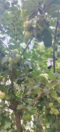 人生天地间，匆匆数十载。无病无灾，便是福泽；平安健康，即是宝藏。 不必追逐惊天动地，能安稳度过每个晨昏，已是命运的馈赠；
无需渴求大富大贵，有健康身体陪伴左右，就是无价的财富。
朋友！请珍惜这平凡却珍贵的日常吧！

守好安全底线，呵护健康身心。
让平安成为习惯，让健康成为常态。

因为活着，才有无限可能；
因为平安健康，才能拥抱所有美好。