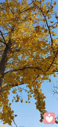 我们总以为自己长大了，却在情绪翻涌时听见熟悉的脚步声：那个害怕不被喜欢、用尽全力证明自己、摔倒了不敢哭出声的孩子，其实一直住在你的身体里。

不是幼稚，是过去未被回应的感受，在等待被看见。
不是脆弱，是那个小小的你需要被现在的你重新养育。

内在小孩不需要被“治好”，只需要被认领。