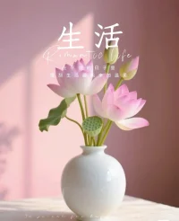 焦虑是大脑的过载警报
就像洗衣机塞满衣服还强行启动，
心理咨询不是断电，是帮你找开关。
💡“暂停”比“重启”更需要勇气。
