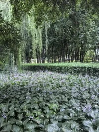 心里淤了堵，別用“想開點”當創(chuàng)可貼
深夜反復自責像卡住的磁帶？
——傷口會結痂，光會透進來。
你不是一個人在淋雨，我陪你疏通。配圖