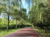 晨跑，让人拥有了积极向上的力量。
