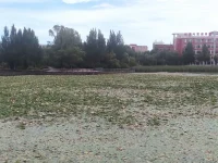 長大后才明白，平凡無奇的小城里，藏著最愜意的生活，也藏著最踏實(shí)的幸福！配圖
