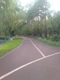 一個(gè)人，一條路...配圖