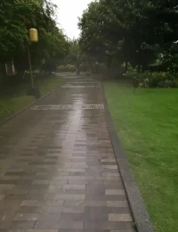 不必追光，跑起來，我就是清晨的光。配圖