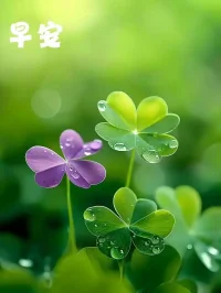 ???♂?，不只是鍛煉，也是我與世界對話的方式。早安，全世界！配圖