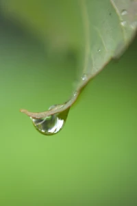 每天的堅持是水滴石穿的力量，不是相加而是相乘。配圖