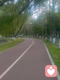 人生就像馬拉松，重要的不是起跑的瞬間，而是堅持。??配圖