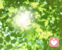 未來這個詞聽上去就是美好，可是你別忘了呀，每一個我們所期待的美好未來，都必須有一個努力的現在。配圖