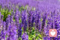 誰痛苦誰改變，誰改變誰受益。配圖