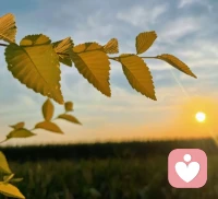 愛，是掏空口袋仍覺虧欠。配圖